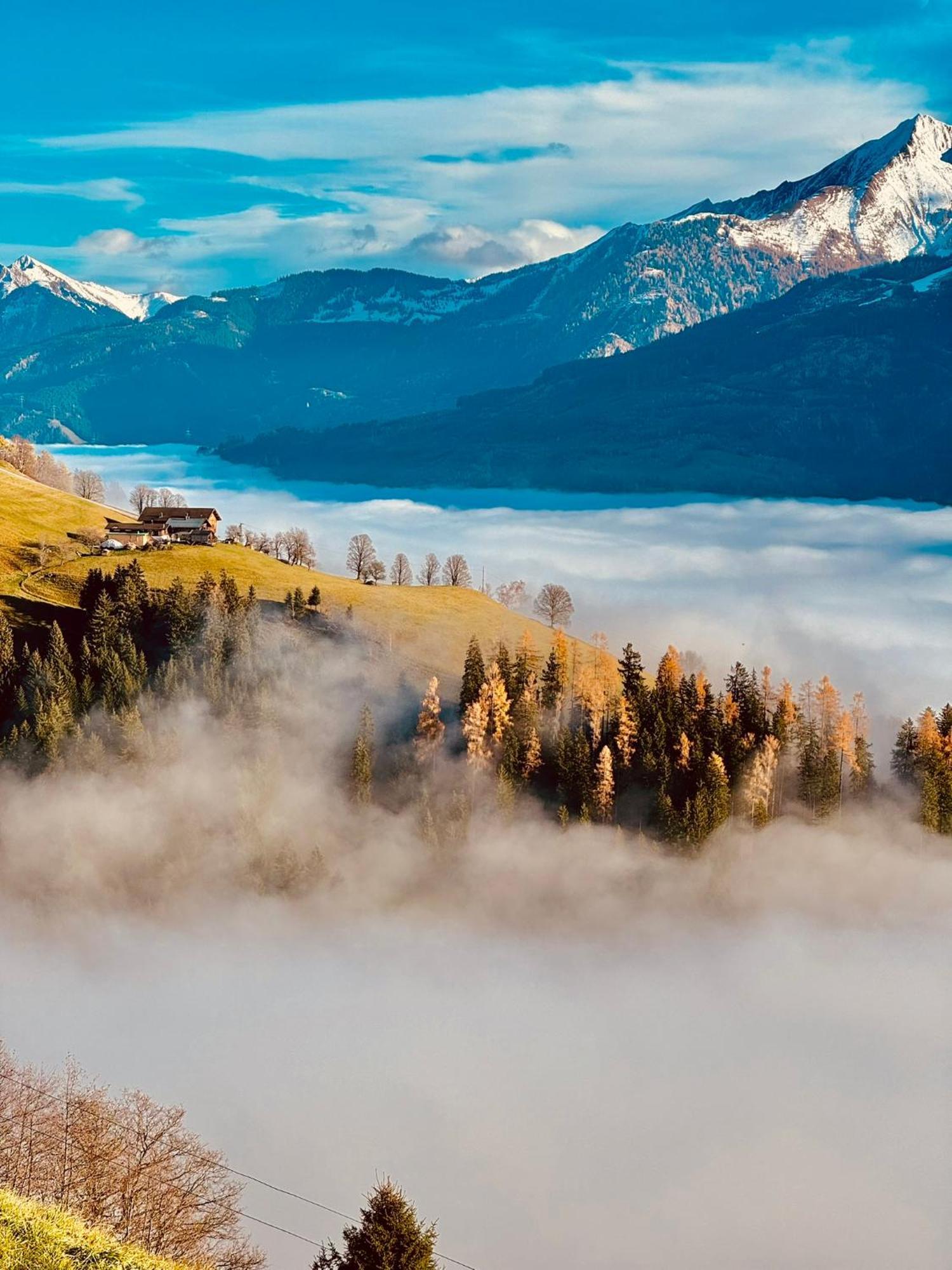 Hochleiten-Gut Нидернзилль Экстерьер фото